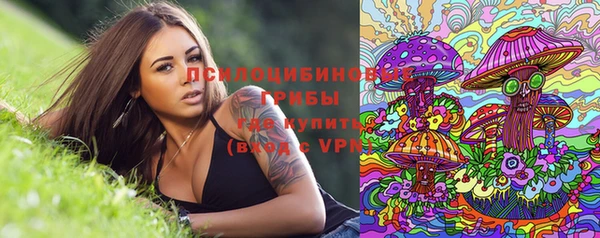 крисы Белокуриха