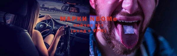 крисы Белокуриха