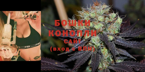 крисы Белокуриха