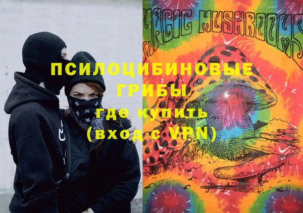 крисы Белокуриха