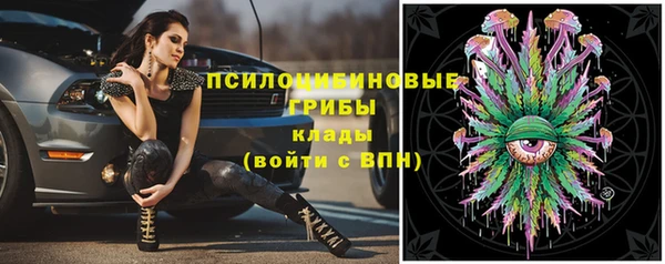 крисы Белокуриха