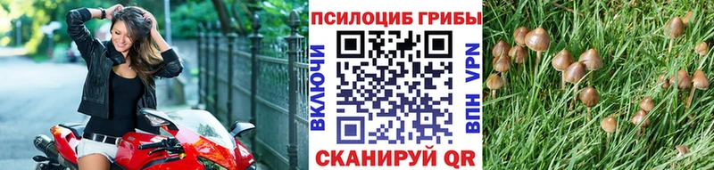 Псилоцибиновые грибы GOLDEN TEACHER Краснотурьинск